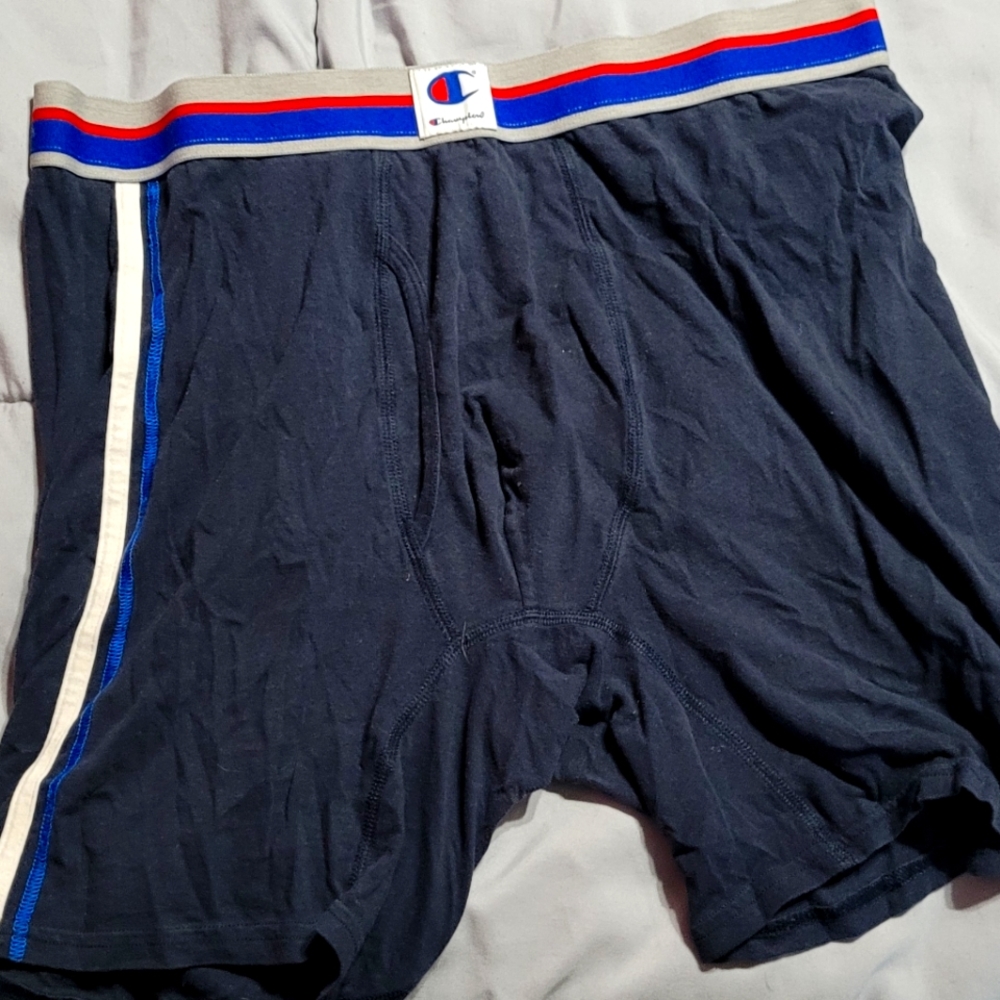 1 pair champion boxer brief